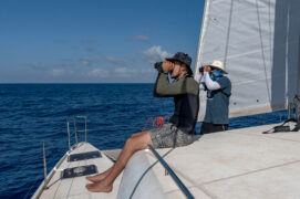 © Sébastien Barrio