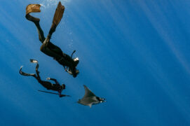 © Sébastien Barrio