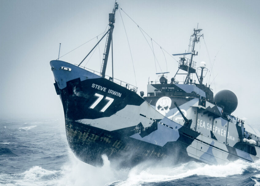 Comment préserver les raies ?