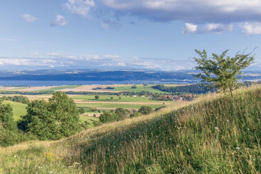 Vue sur le lac de Neuchâtel Vue sur le lac de Neuchâtel