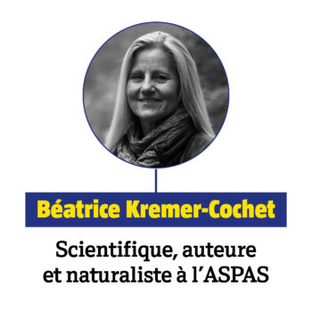 Béatrice Kremer Salamandre