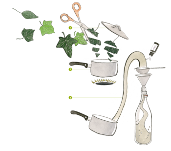 Lessive aux feuilles de lierre