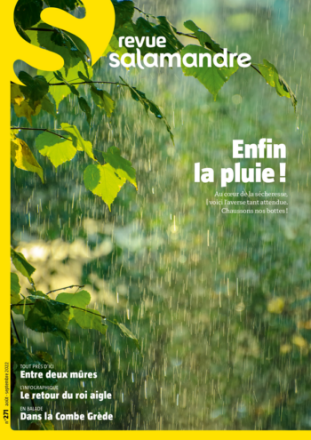 Couverture de La Salamandre n°271