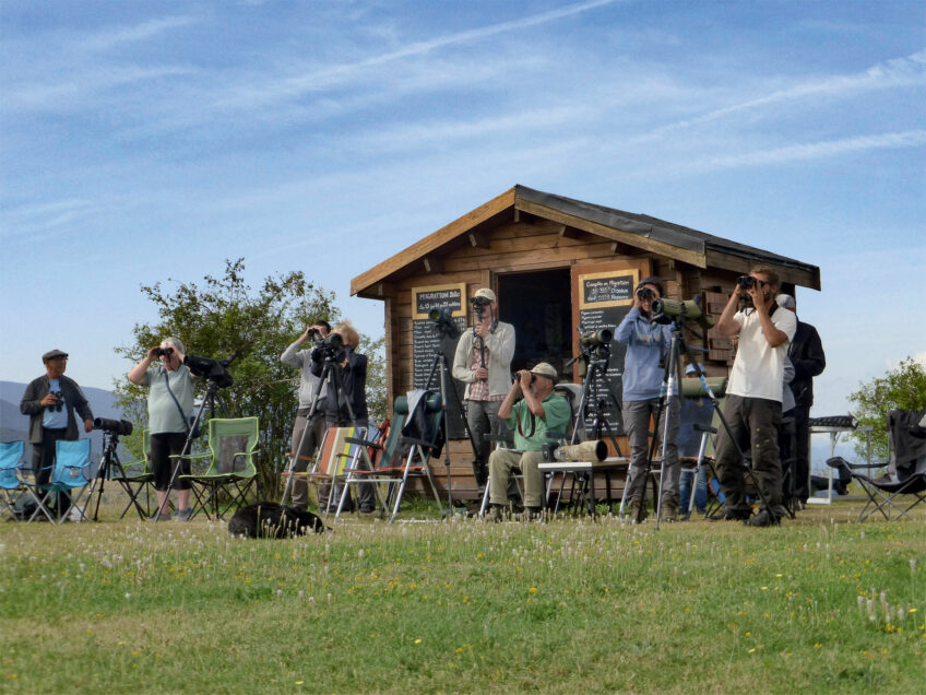 site de suivi de la migration à Eyne.