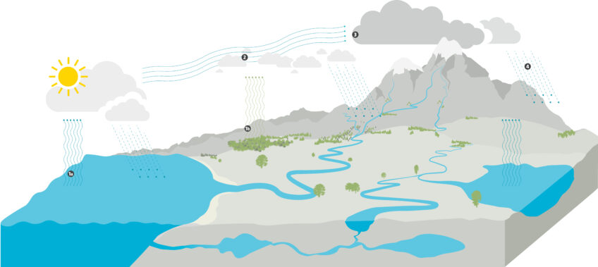 Cycle de l'eau, comment la pluie se forme-t-elle ?