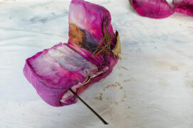 © Catherine De Robert