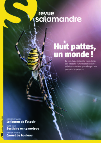 Couverture de La Salamandre n°272
