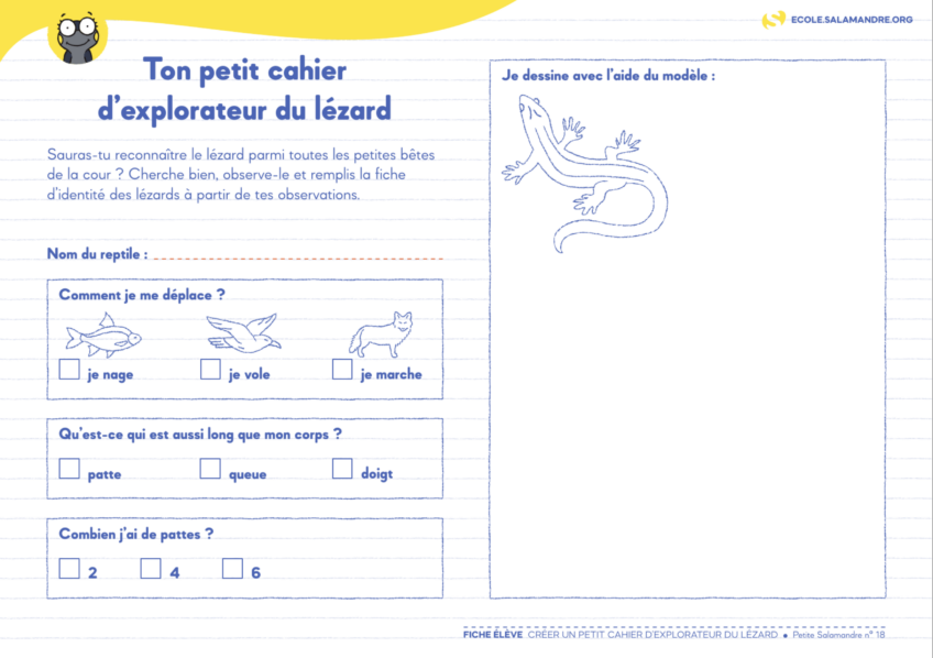 Activité nature rentrée scolaire