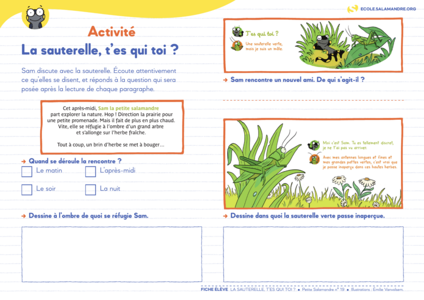 Fiche pédagogique "La sauterelle, t'es qui toi ?", à retrouver dans le n.19 de notre magazine "La Petite Salamandre"