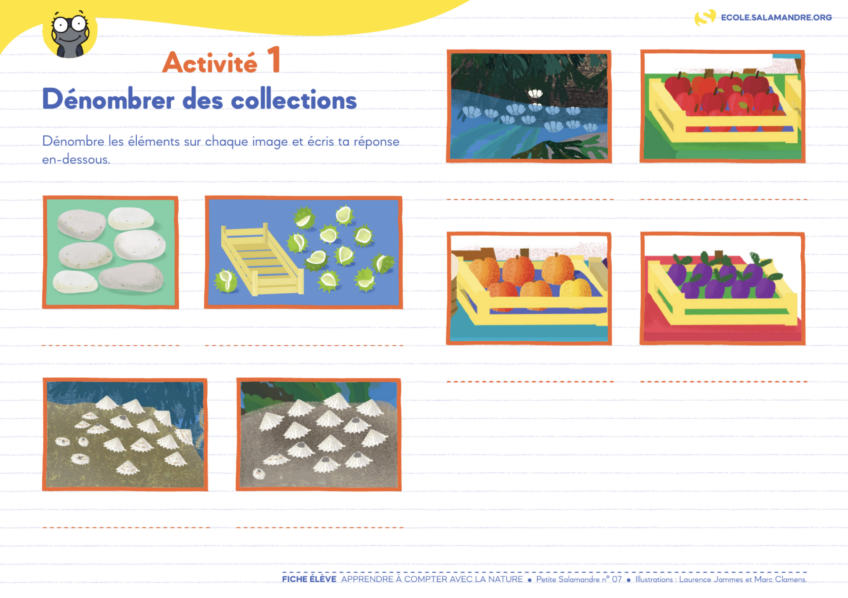 Fiche pédagogique "Apprendre à compter avec la nature", à retrouver dans le n.7 de notre magazine "La Petite Salamandre" cp
