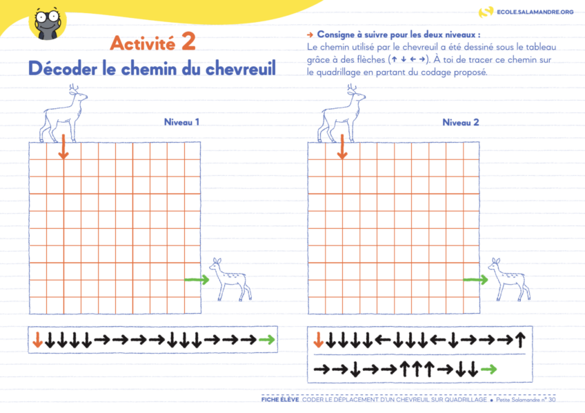 Fiche pédagogique "Décoder le chemin du chevreuil", à retrouver dans le n.30 de notre magazine Petite Salamandre
