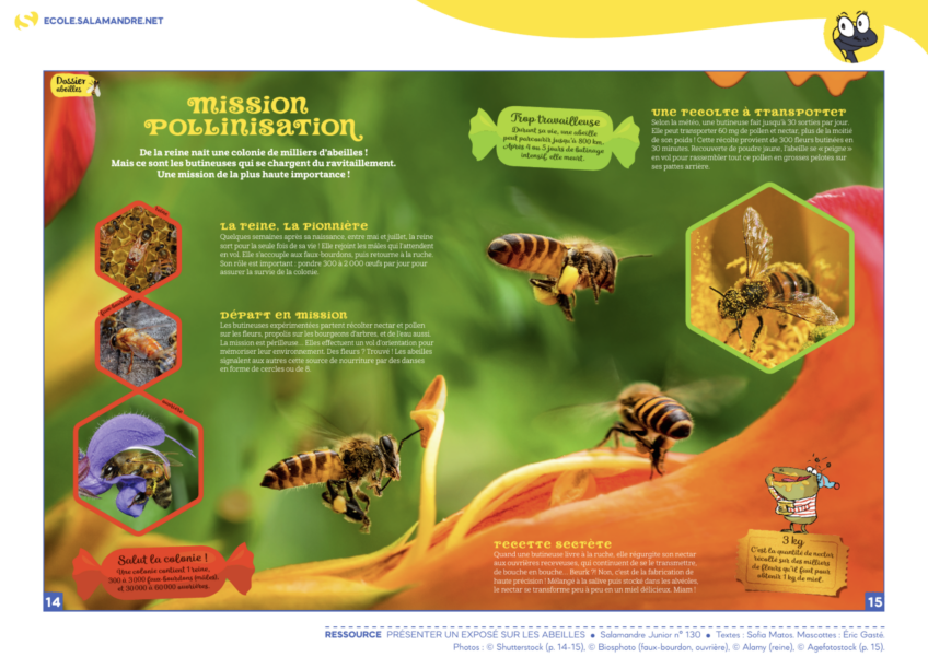 Activité élèves enfants