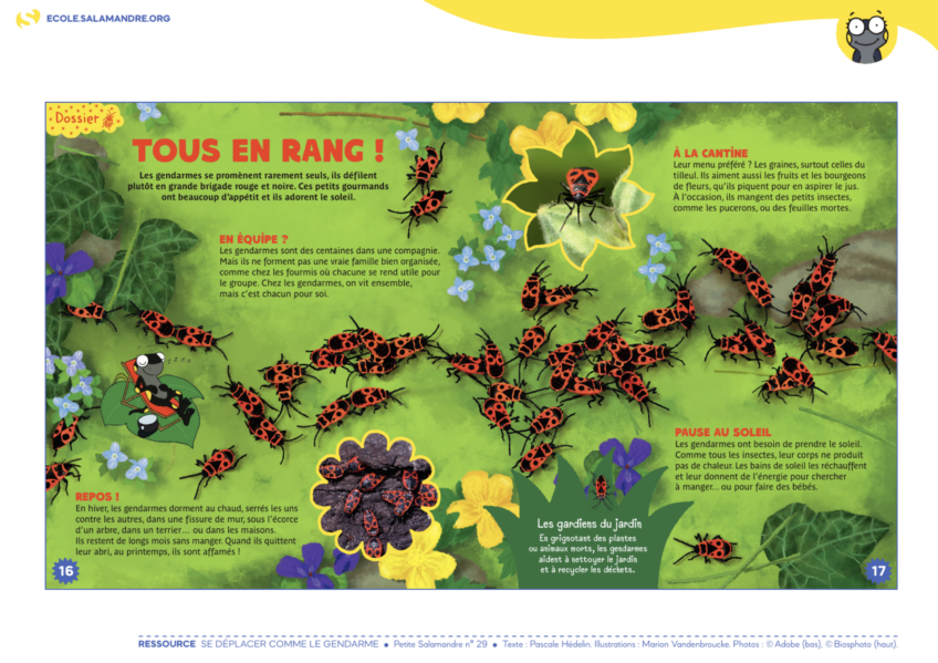 Activité élèves enfants