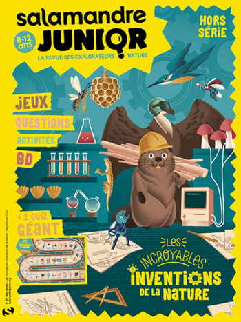 Couverture de La Salamandre Junior n°HS07