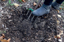 Choisissez un bout de terrain bien exposé au soleil. Retournez et émiettez la terre à l’aide de la fourche bêche.