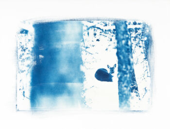 « Si j’affectionne surtout l’hiver, c’est parce que la neige offre au monde une poésie naturelle et silencieuse… »
Chevreuil cyanotype sur papier Arches, 50 x 65 cm   « Si j’affectionne surtout l’hiver, c’est parce que la neige offre au monde une poésie naturelle et silencieuse… »
Chevreuil cyanotype sur papier Arches, 50 x 65 cm