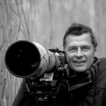 L’envol du faucon crécerelle photographié par Benoît Renevey