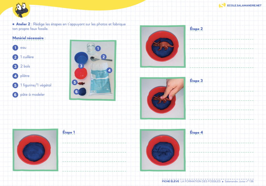 Sciences nature élèves