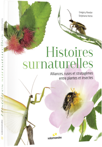 Histoires surnaturelles