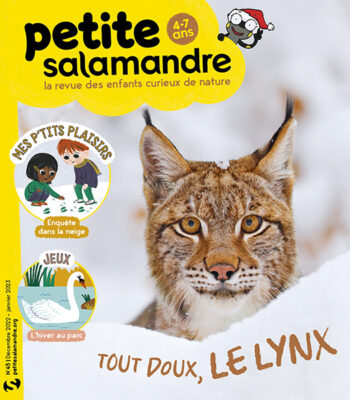 Couverture de La Petite Salamandre n°45