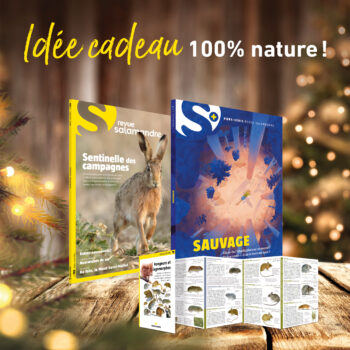Abonnement à la Revue Salamandre