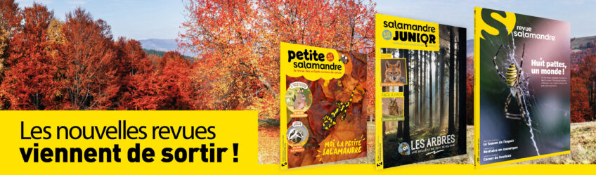 Revue Salamandre