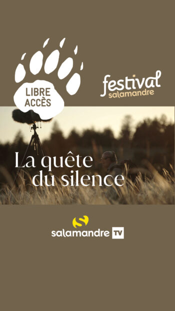 La quête du silence