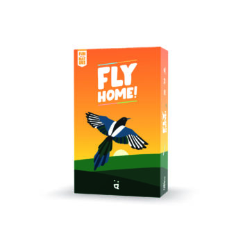 Fly home