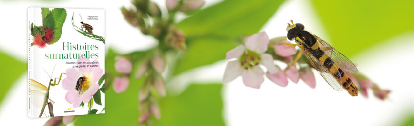Histoires surnatuelles