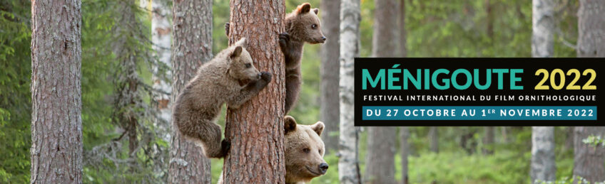Festival Ménigoute