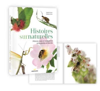 Histoires surnaturelles