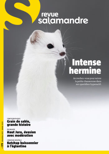 Couverture de La Salamandre n°273