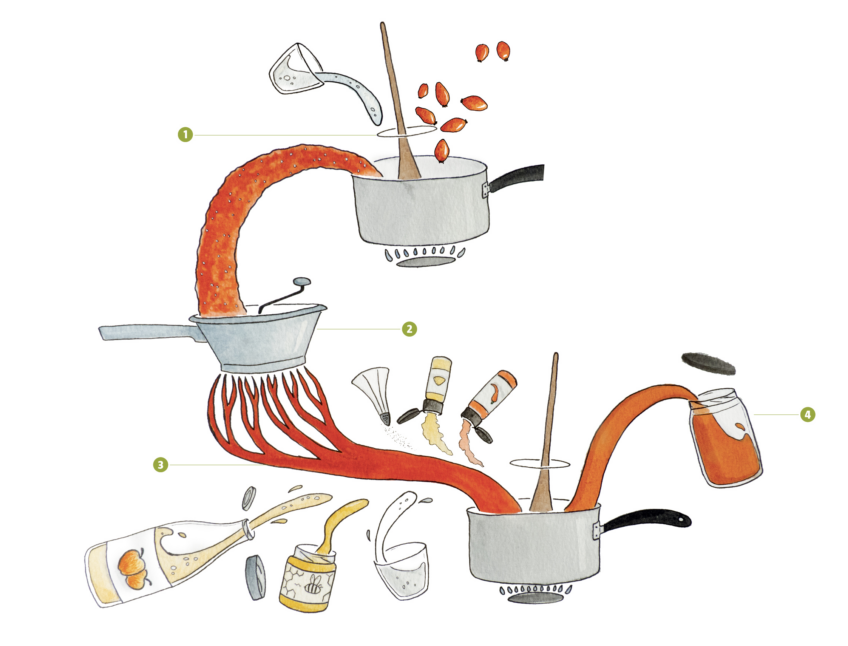 Recette de ketchup au cynorhodons