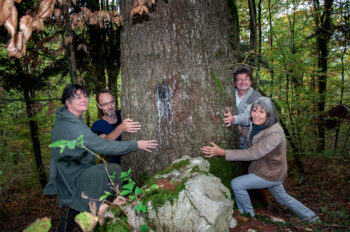 Britta Veuve, Fabrice Plomb, Philippe Vauthier et Sonja Christensen 
(de gauche à droite autour du tronc) souhaitent préserver de grands arbres d’essences variées prôner des méthodes de débardage plus légères.