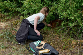 ©  Lucas Michelot