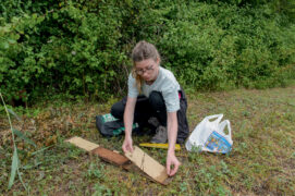 ©  Lucas Michelot