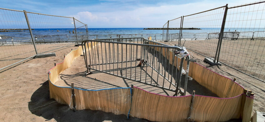 Tortue caouanne : un nid très rare surveillé de près à Fréjus