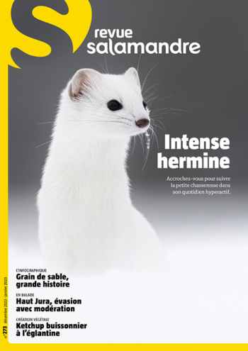 Intense Hermine