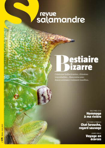 Couverture de La Salamandre n°274