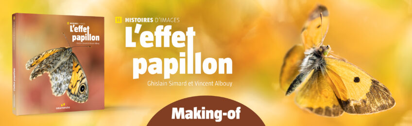 Livre photo sur les papillons