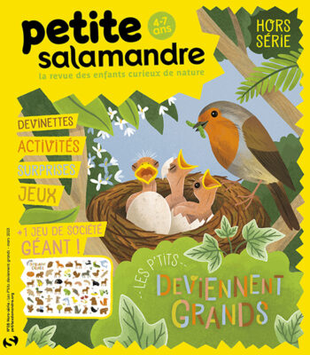 Couverture de La Petite Salamandre n°HS08
