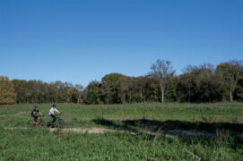 © Théo Tzélépoglou