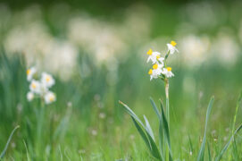 © Théo Tzélépoglou