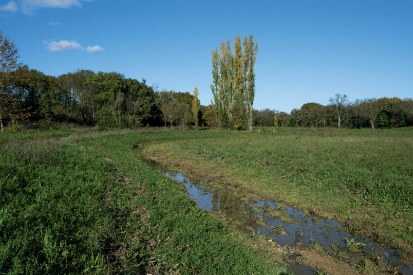 Une rivière renaturée dans le sud de la France