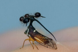 © Stock.adobe.com ,  Shutterstock