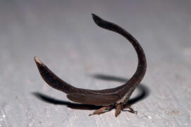 © Stock.adobe.com ,  Shutterstock