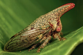 © Stock.adobe.com ,  Shutterstock