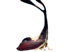 © Stock.adobe.com ,  Shutterstock