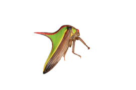 © Stock.adobe.com ,  Shutterstock