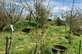 © Hélène Bougouin / FIBL